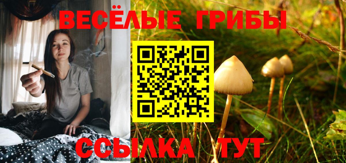 даркнет сайт  Галлюциногенные грибы ЛСД  Вход с VPN  Слободской 